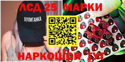 индика Ярославль