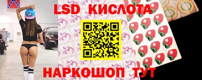 индика Ярославль