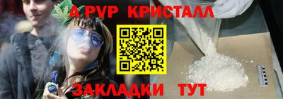 индика Ярославль