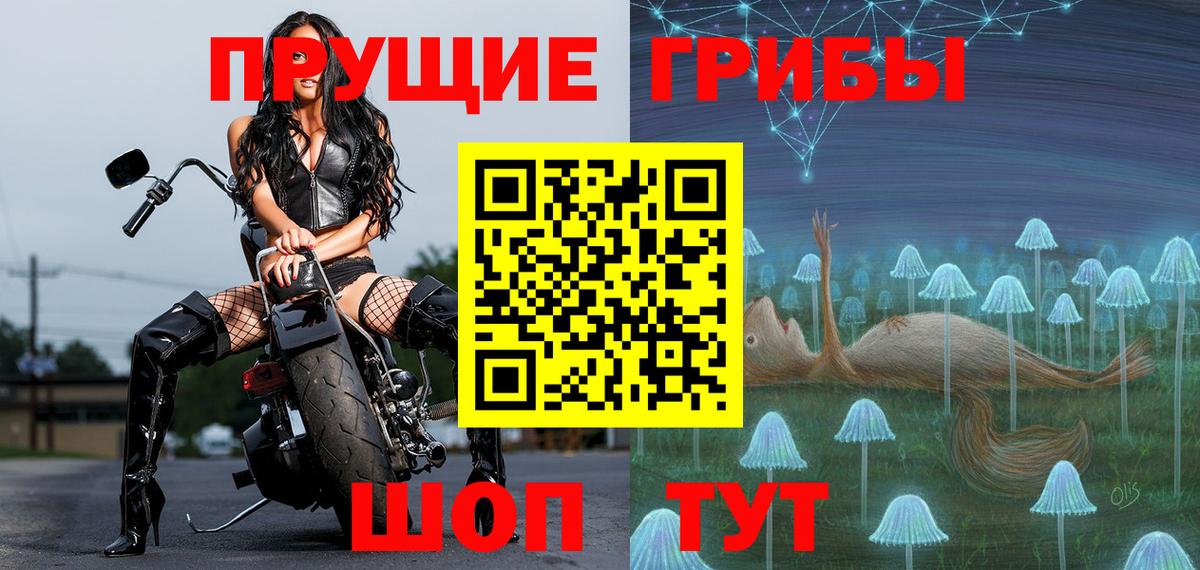 Галлюциногенные грибы Psilocybine cubensis Дзержинский