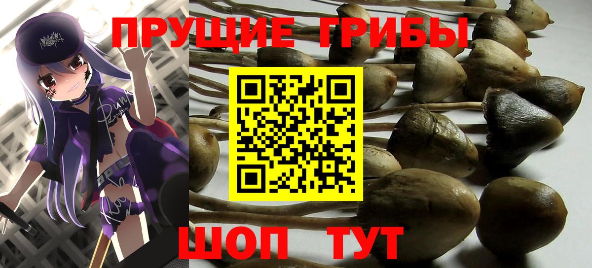 Дзержинский  купить  цена  Псилоцибиновые грибы MAGIC MUSHROOMS  Вход с VPN  Галлюциногенные грибы мицелий 